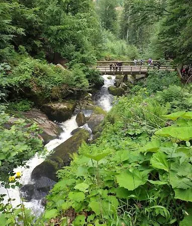 Daire My Am Heuberg Nr 2 *