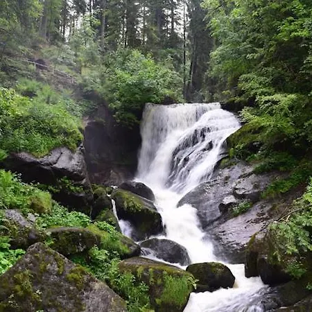 My Am Heuberg Nr 2 Frittlingen
